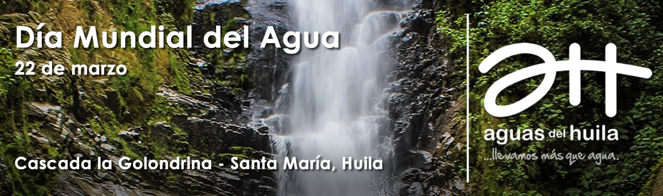 Dia Mundial del Agua