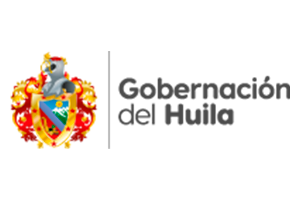 Veedurías Ciudadanas